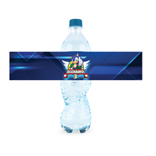 Afbeelding in Gallery-weergave laden, Gepersonaliseerde Sonic waterfles labels en stickers