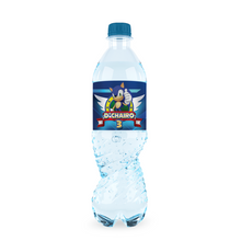 Afbeelding in Gallery-weergave laden, Gepersonaliseerde Sonic waterfles labels en stickers