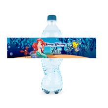 Afbeelding in Gallery-weergave laden, Gepersonaliseerde Ariel waterfles labels en stickers