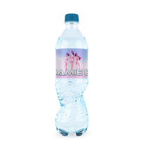 Afbeelding in Gallery-weergave laden, Gepersonaliseerde KPop Demon Hunters waterfles labels en stickers