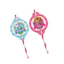 Afbeelding in Gallery-weergave laden, Gepersonaliseerde Skye rietjes