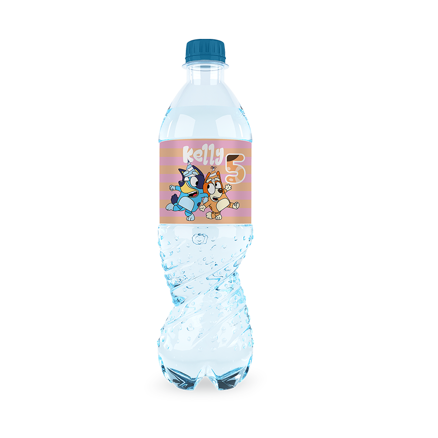 Gepersonaliseerde Bluey (Meisjes) waterfles labels en stickers