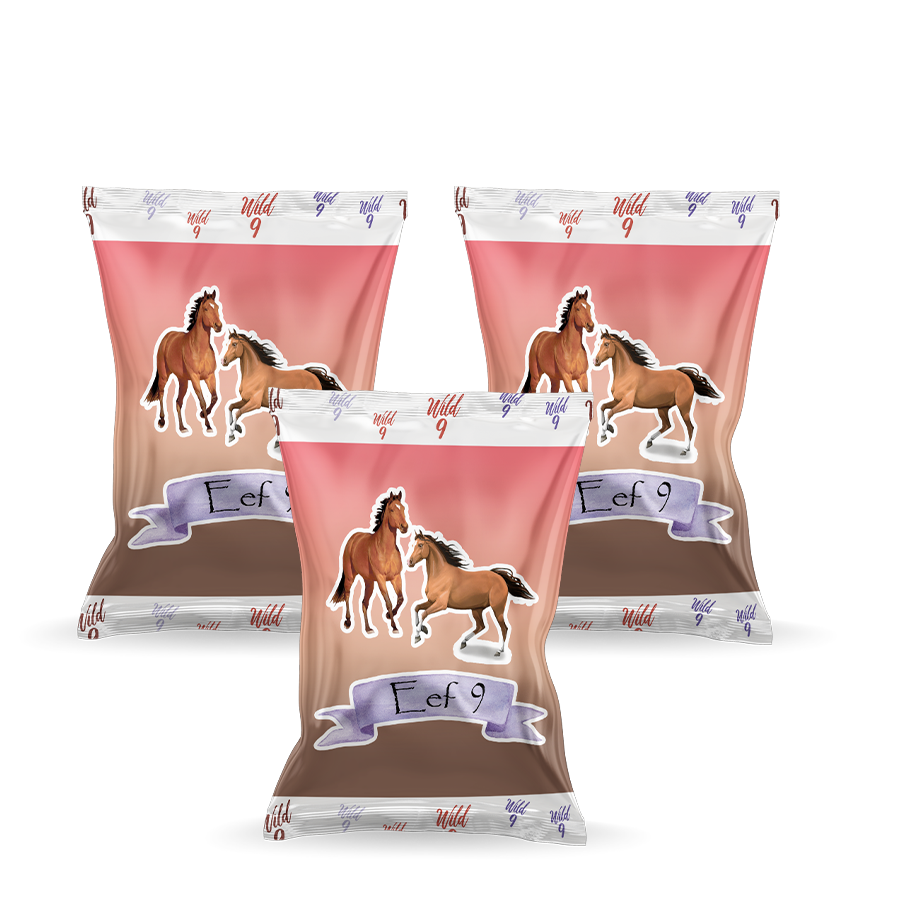 Gepersonaliseerde Paarden chips zakjes