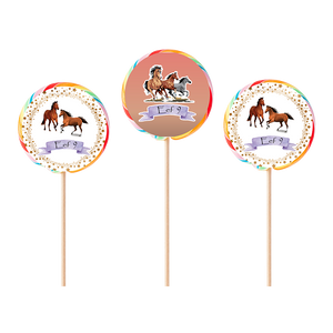 Gepersonaliseerde Paarden ronde regenboog lollies