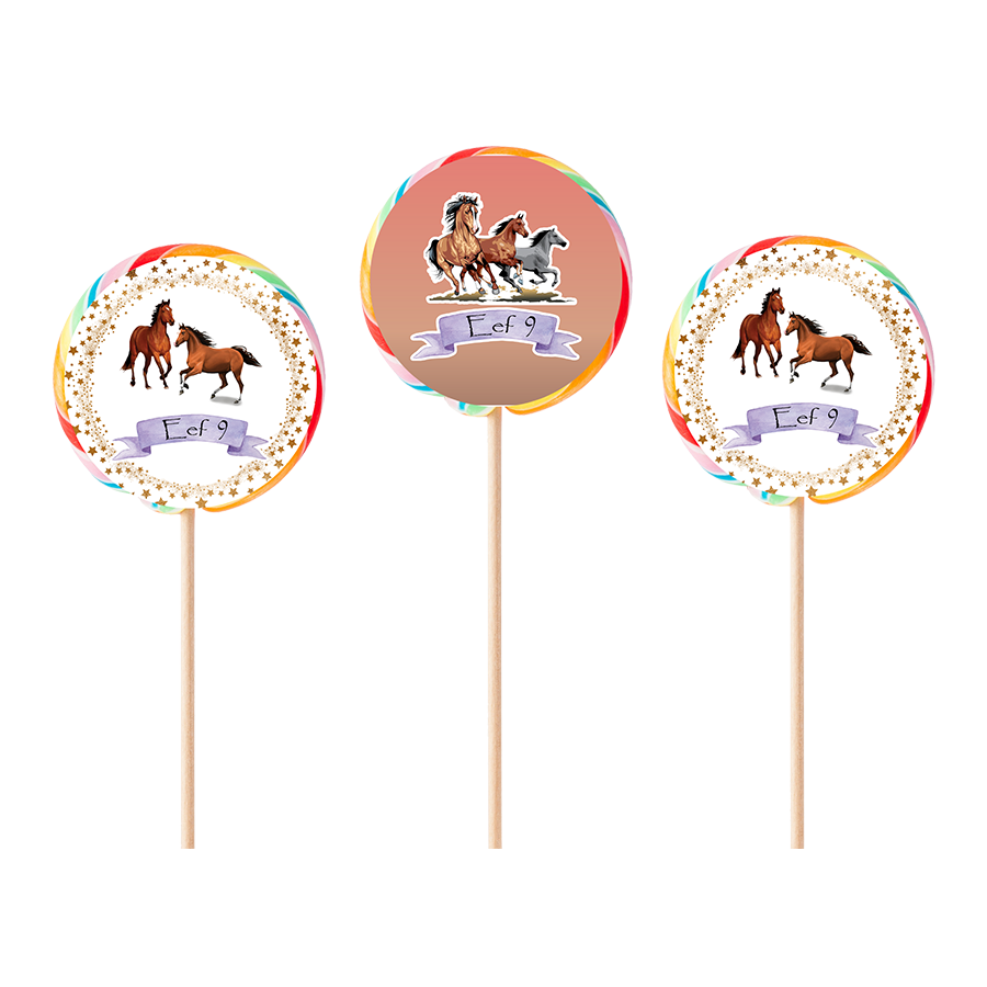 Gepersonaliseerde Paarden ronde regenboog lollies