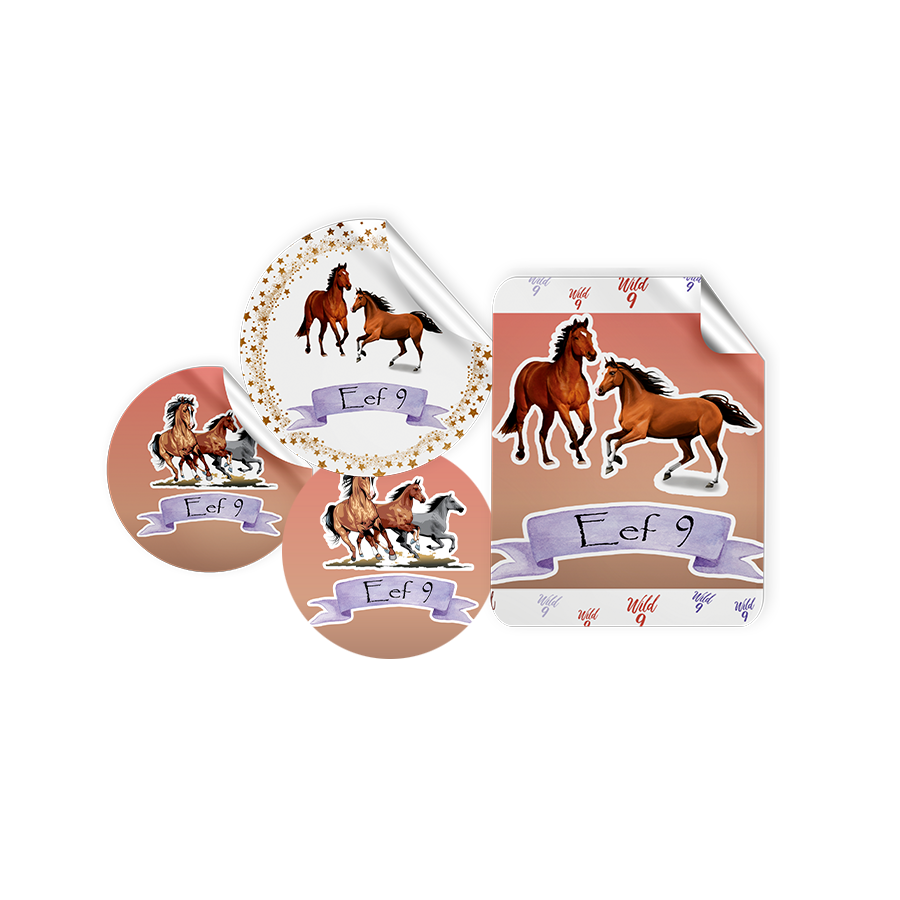Gepersonaliseerde Paarden Stickers