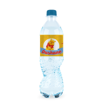 Afbeelding in Gallery-weergave laden, Gepersonaliseerde Winnie de Pooh waterfles labels en stickers
