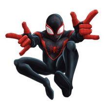 Afbeelding in Gallery-weergave laden, Gepersonaliseerde Spiderman Verse-editie ronde regenboog lollies
